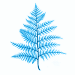 Blue fern leaf illustration on white background