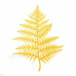 Golden fern leaf silhouette on white background